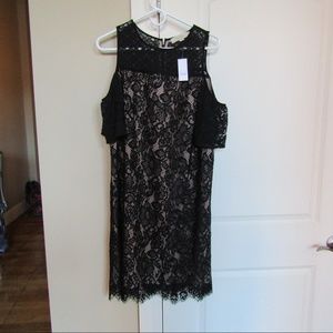 SOLD NWT Loft Cold Shoulder Dress